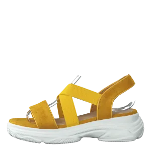 495702 54 Yellow